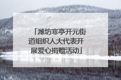 潍坊寒亭开元街道组织人大代表开展爱心捐赠活动